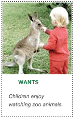 child feeding baby kangaroo